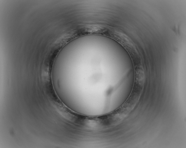 X0000112180510200908071329