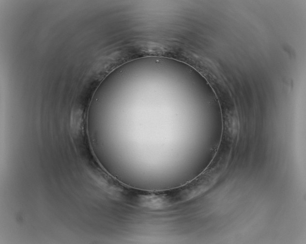 X0000112180511200908071329