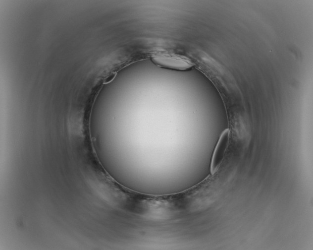 X0000112180512200908071329