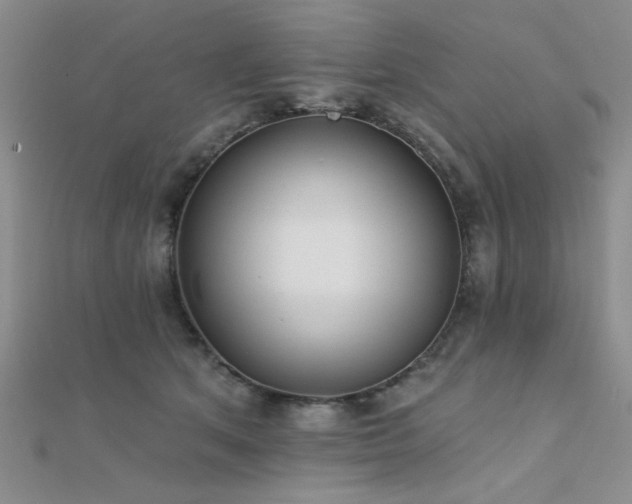 X0000112180513200908071329