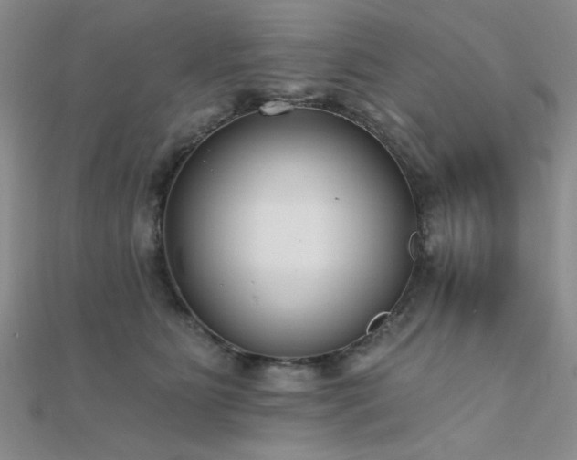 X0000112180515200908071329