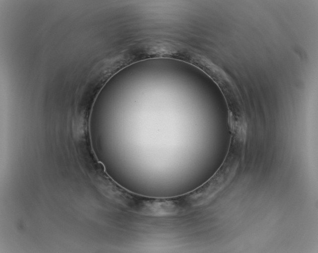 X0000112180517200908071329