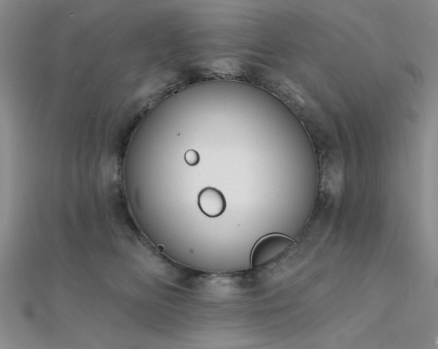 X0000112180518200908071329