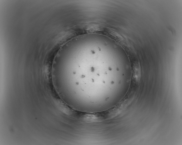 X0000112180519200908071329