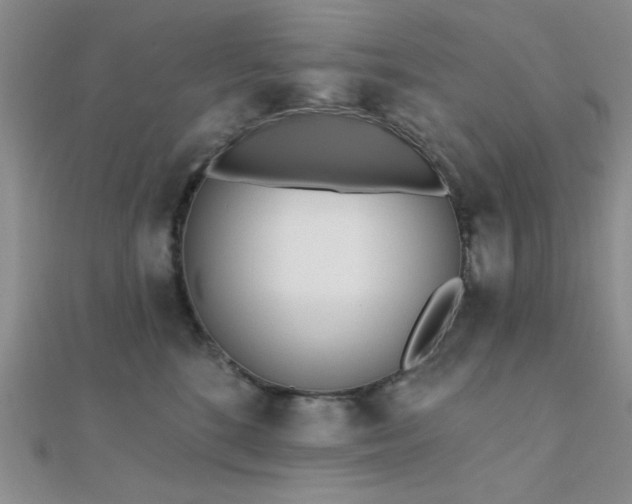 X0000112180520200908071329