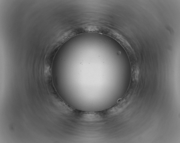 X0000112180521200908071329