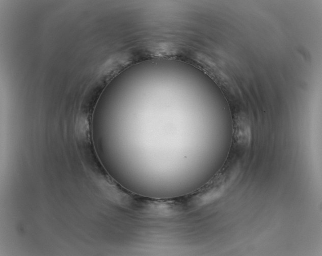 X0000112180523200908071329