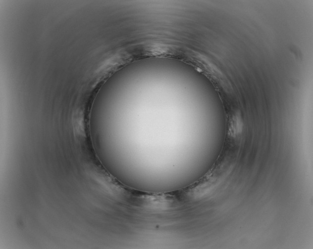 X0000112180524200908071329