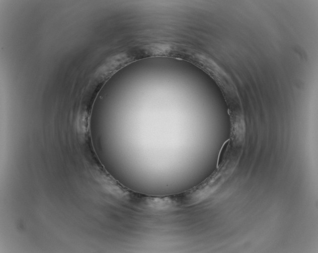 X0000112180525200908071329