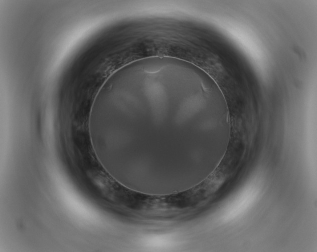 X0000112180526200908071329