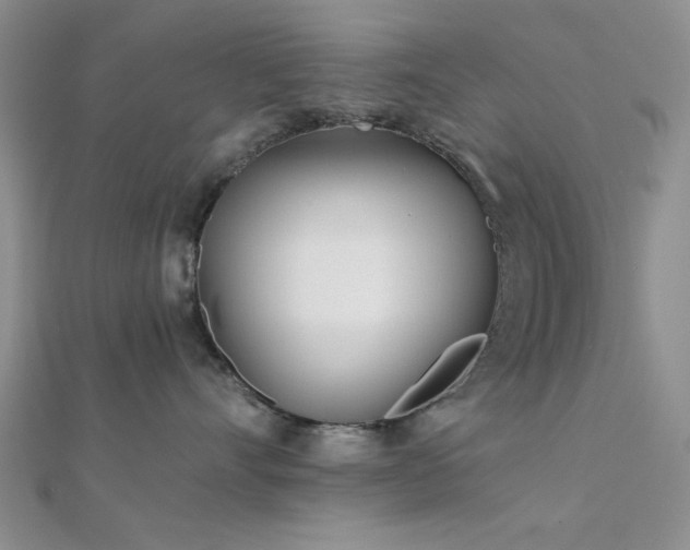 X0000112180528200908071329