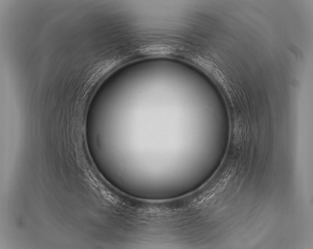 X0000112180529200908071328