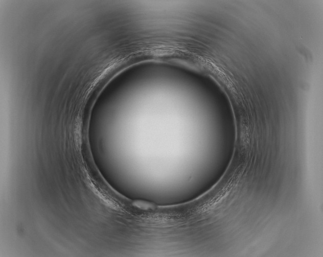 X0000112180530200908071328