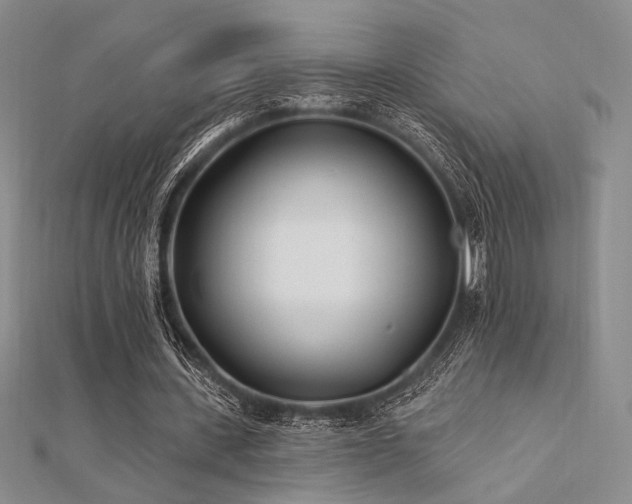 X0000112180531200908071328