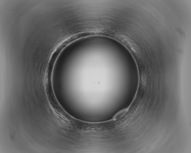 X0000112180532200908071328