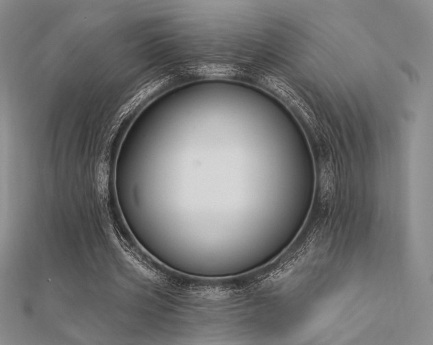 X0000112180533200908071328