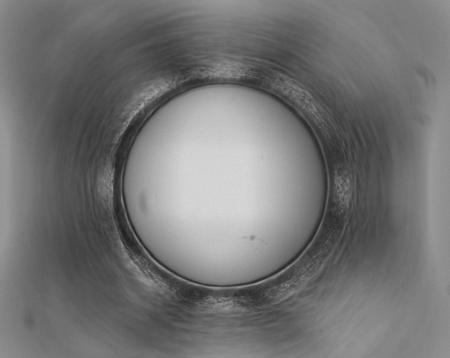 X0000112180534200908071328