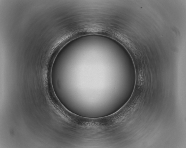 X0000112180535200908071328