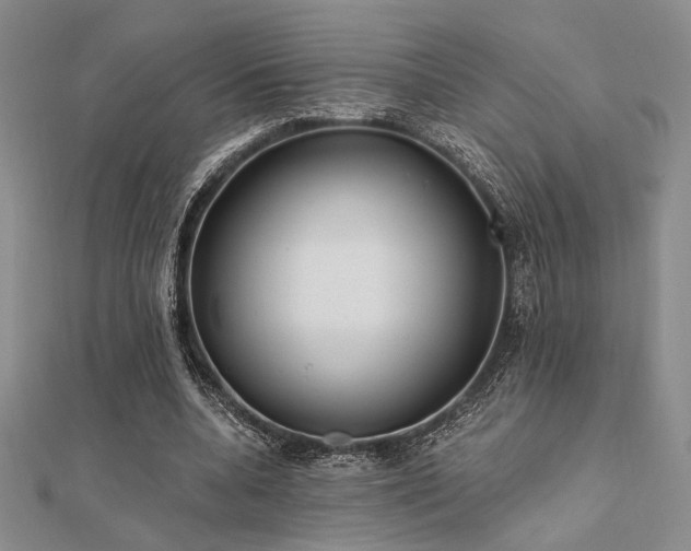 X0000112180536200908071328