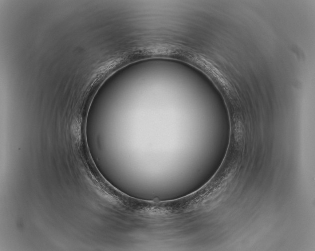 X0000112180537200908071328