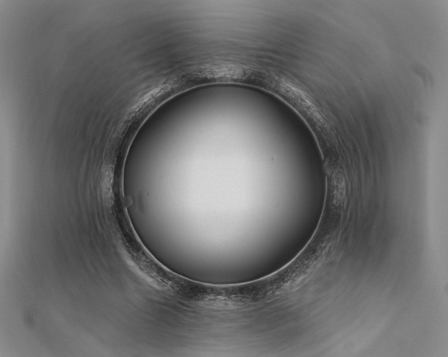 X0000112180538200908071328