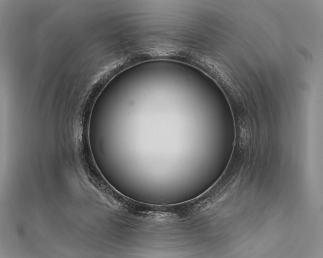 X0000112180539200908071328