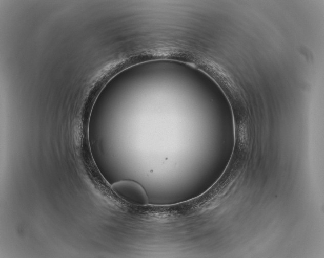 X0000112180540200908071328