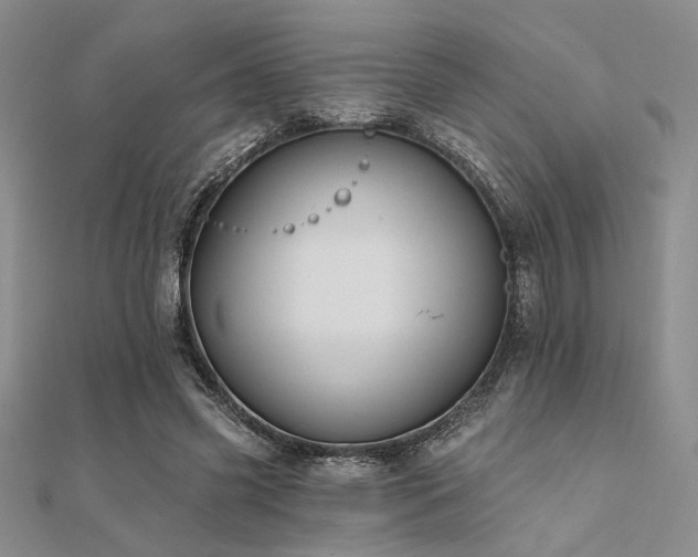 X0000112180541200908071328