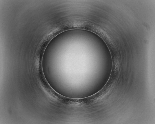 X0000112180542200908071328