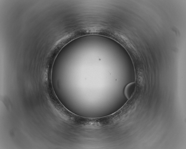 X0000112180543200908071328