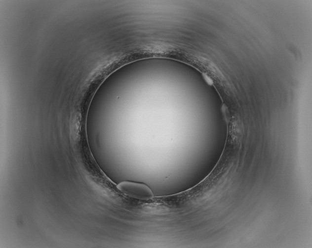 X0000112180544200908071328