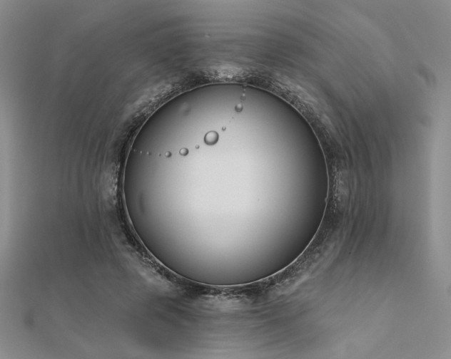 X0000112180545200908071328