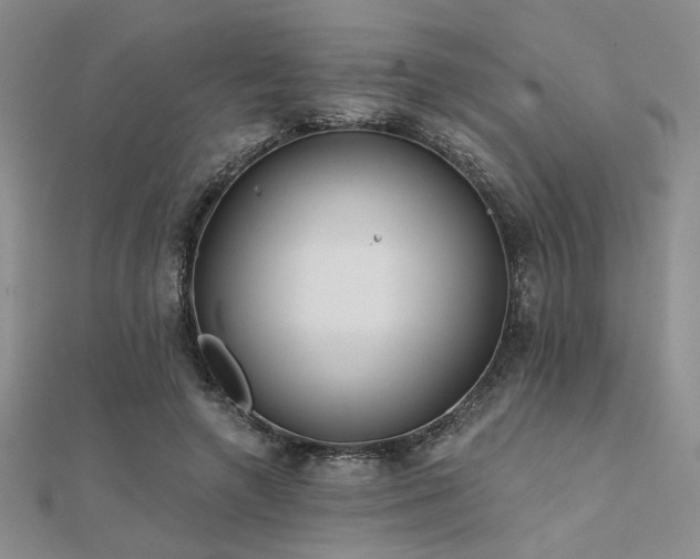 X0000112180546200908071328