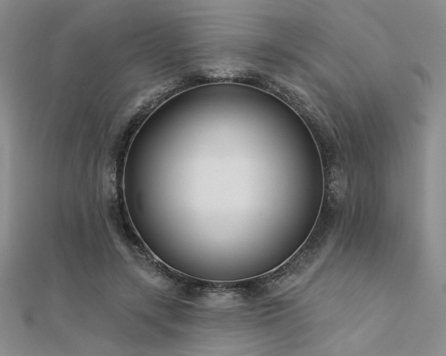 X0000112180547200908071328