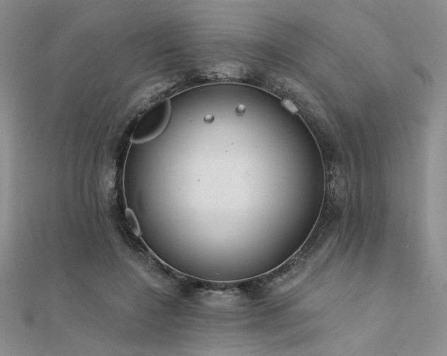 X0000112180548200908071328