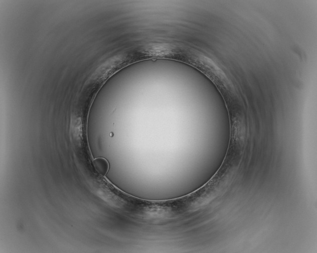 X0000112180549200908071328