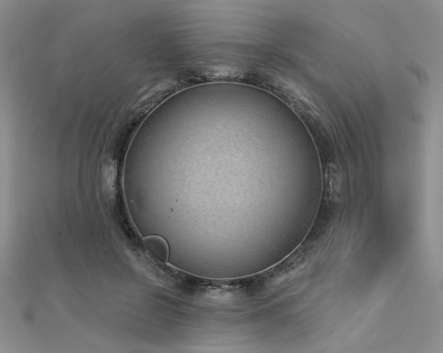 X0000112180550200908071328