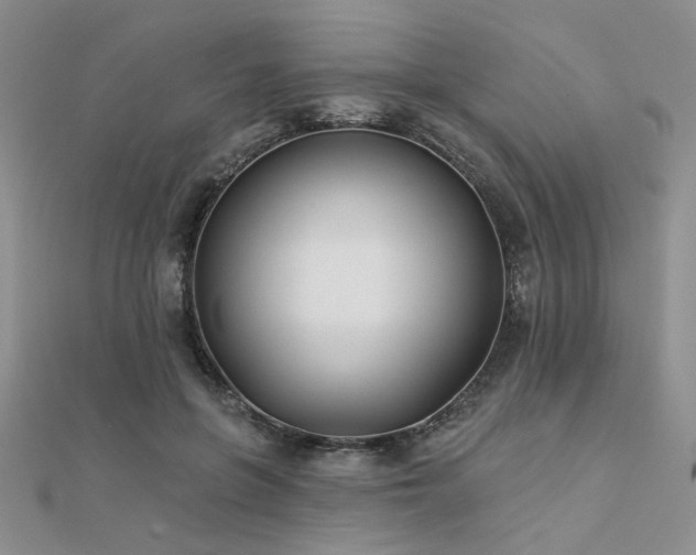 X0000112180551200908071328