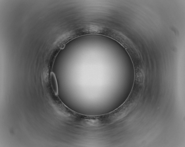 X0000112180552200908071328