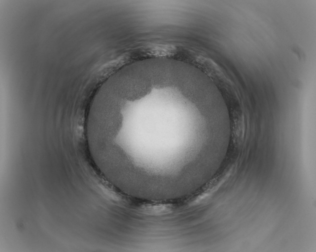 X0000112180553200908071328