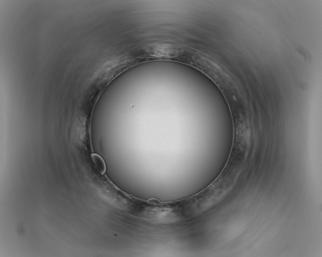 X0000112180554200908071328