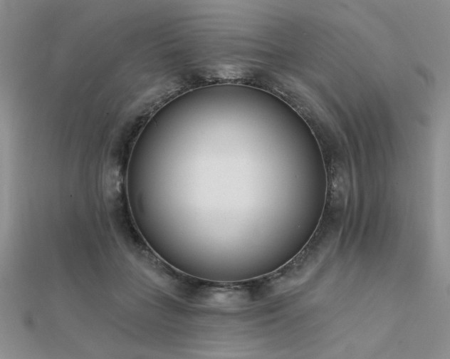 X0000112180555200908071328