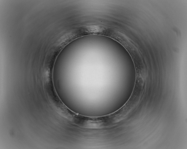 X0000112180556200908071328