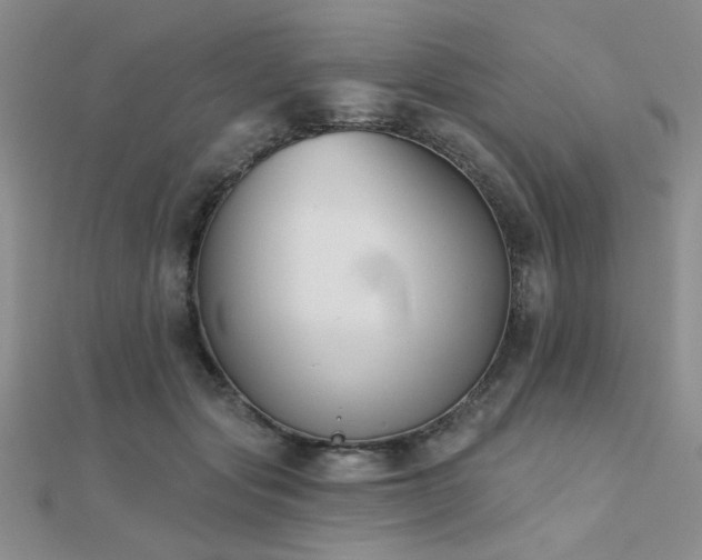 X0000112180557200908071328