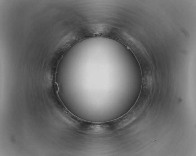 X0000112180558200908071328