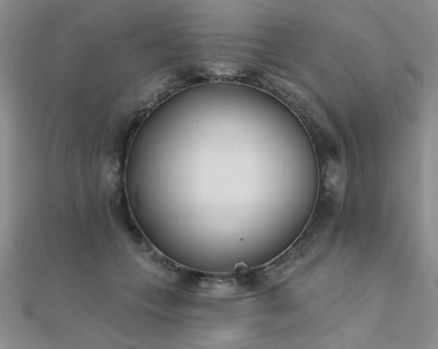 X0000112180559200908071328