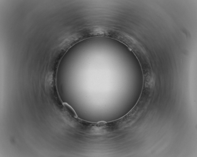 X0000112180560200908071328