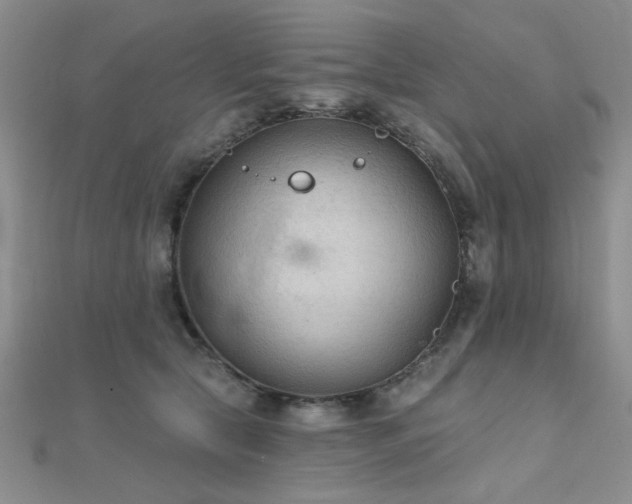 X0000112180561200908071328