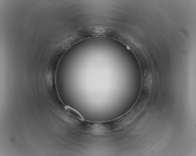 X0000112180562200908071328