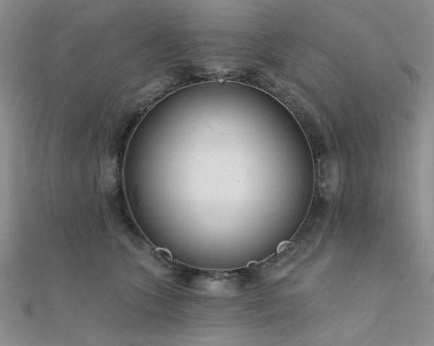 X0000112180563200908071328